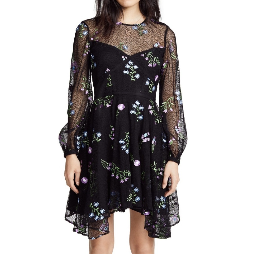 Rare!ZAC Zac Posen Jennifer Embroidered Mesh Dress